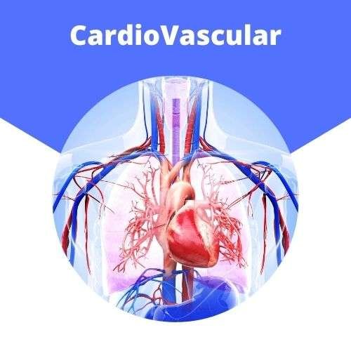 Cardiovascular