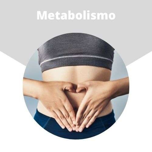 Metabolismo