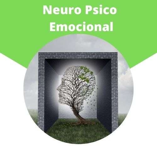 Neuro Psico Emocional